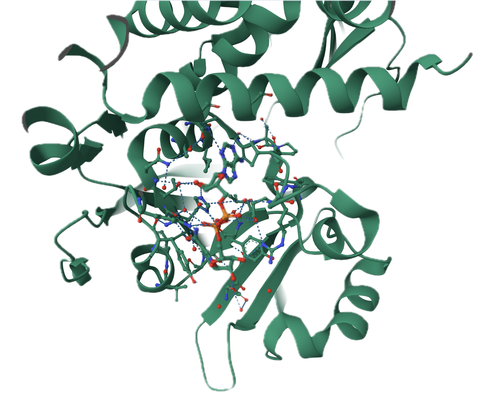 Cholix protein interacting with NAD